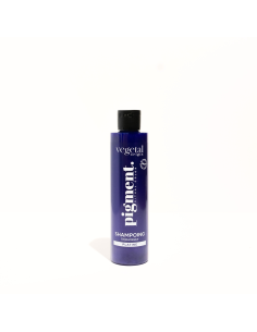 SHAMPOING DÉJAUNISSEUR PLATINE